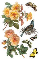 By Any Other Name IOD Decor Transfer