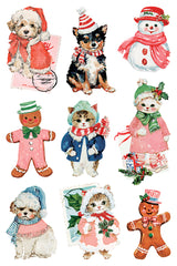 Darling Holiday IOD Transfer
