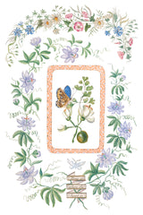 Emily Clare IOD Decor Transfer