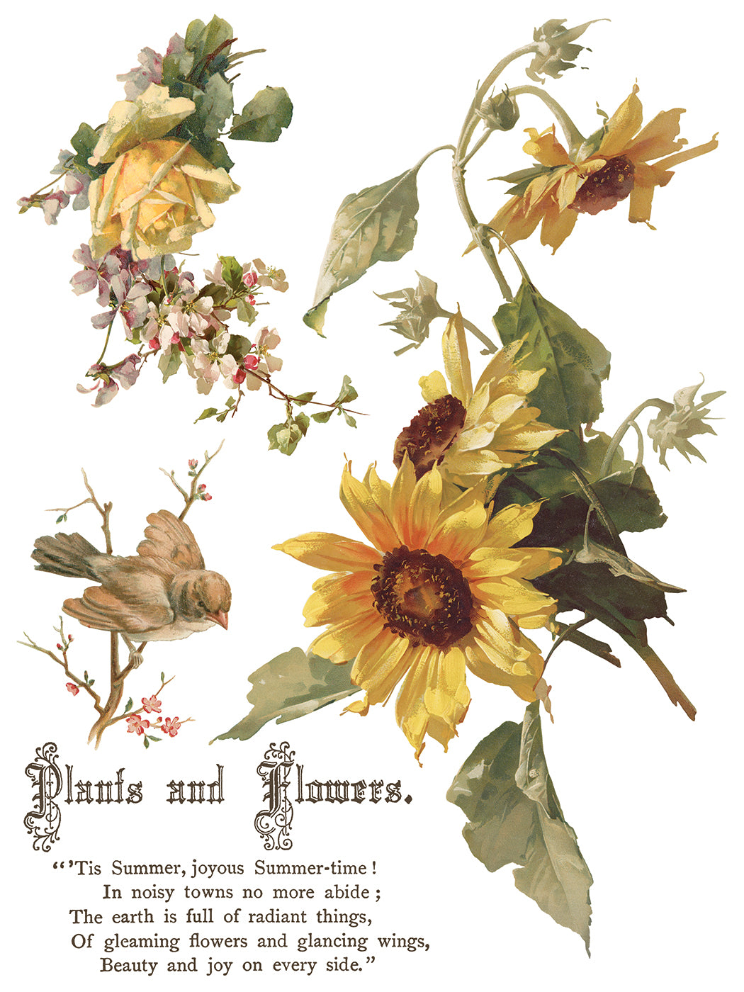 Flowers by the Poets IOD Transfer