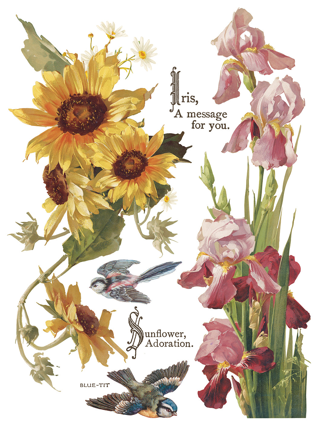 Flowers by the Poets IOD Transfer