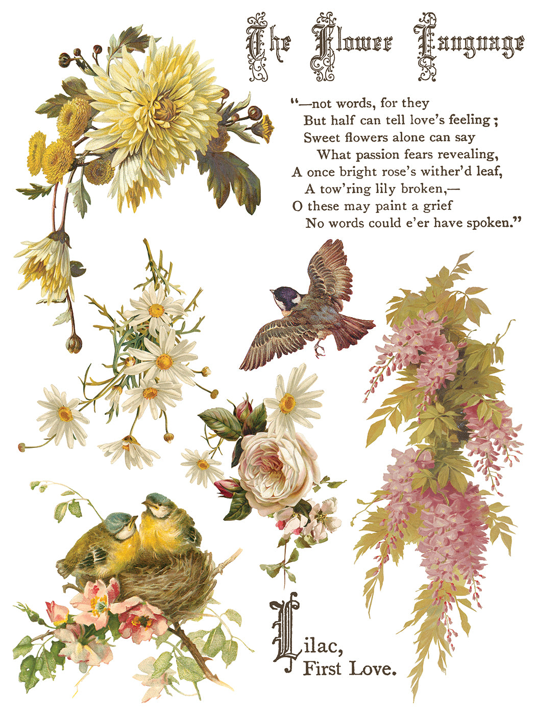 Flowers by the Poets IOD Transfer