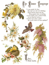 Flowers by the Poets IOD Transfer