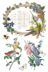 Flora Graca IOD Decor Transfer