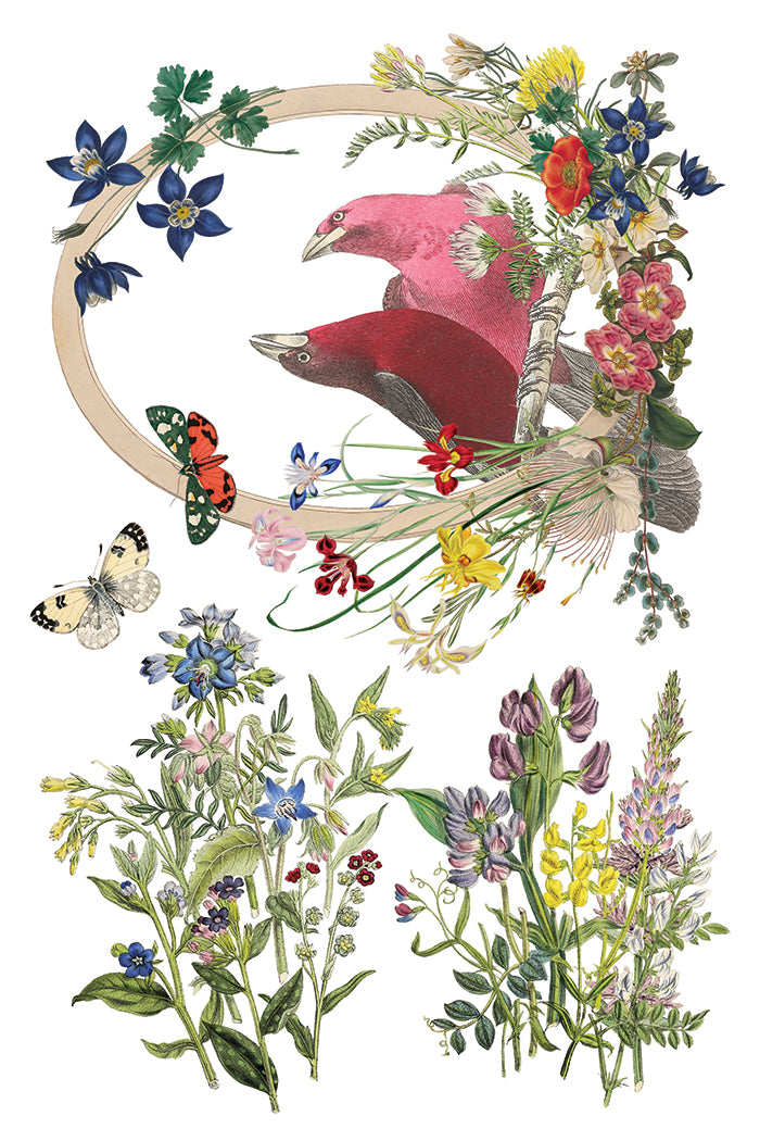 Flora Graca IOD Decor Transfer