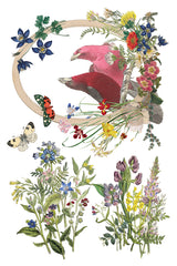 Flora Graca IOD Decor Transfer