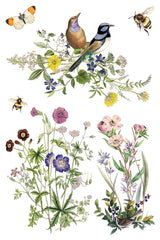 Flora Graca IOD Decor Transfer