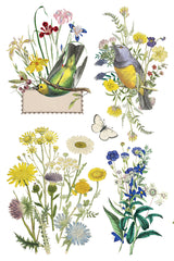 Flora Graca IOD Decor Transfer