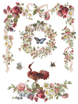 Madeleine IOD Transfer