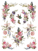 Madeleine IOD Transfer