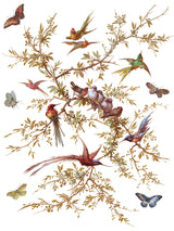 Madeleine IOD Transfer