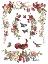 Madeleine IOD Transfer