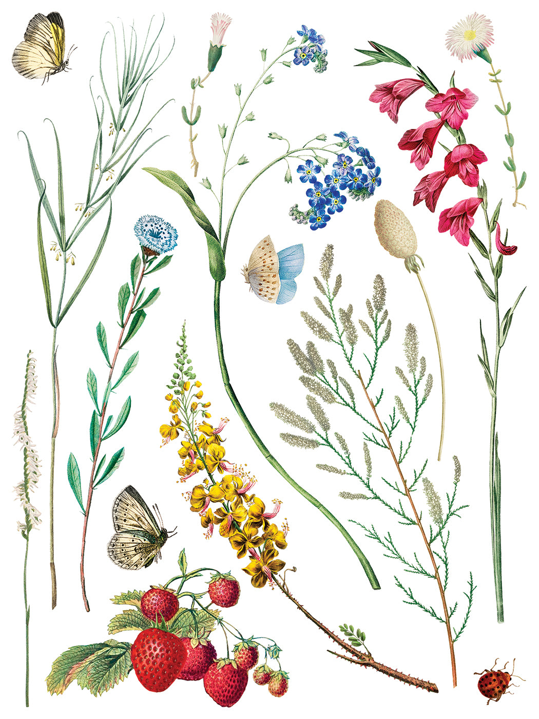 Marché des Fleurs IOD Transfer