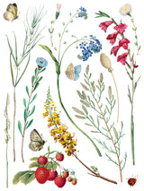 Marché des Fleurs IOD Transfer