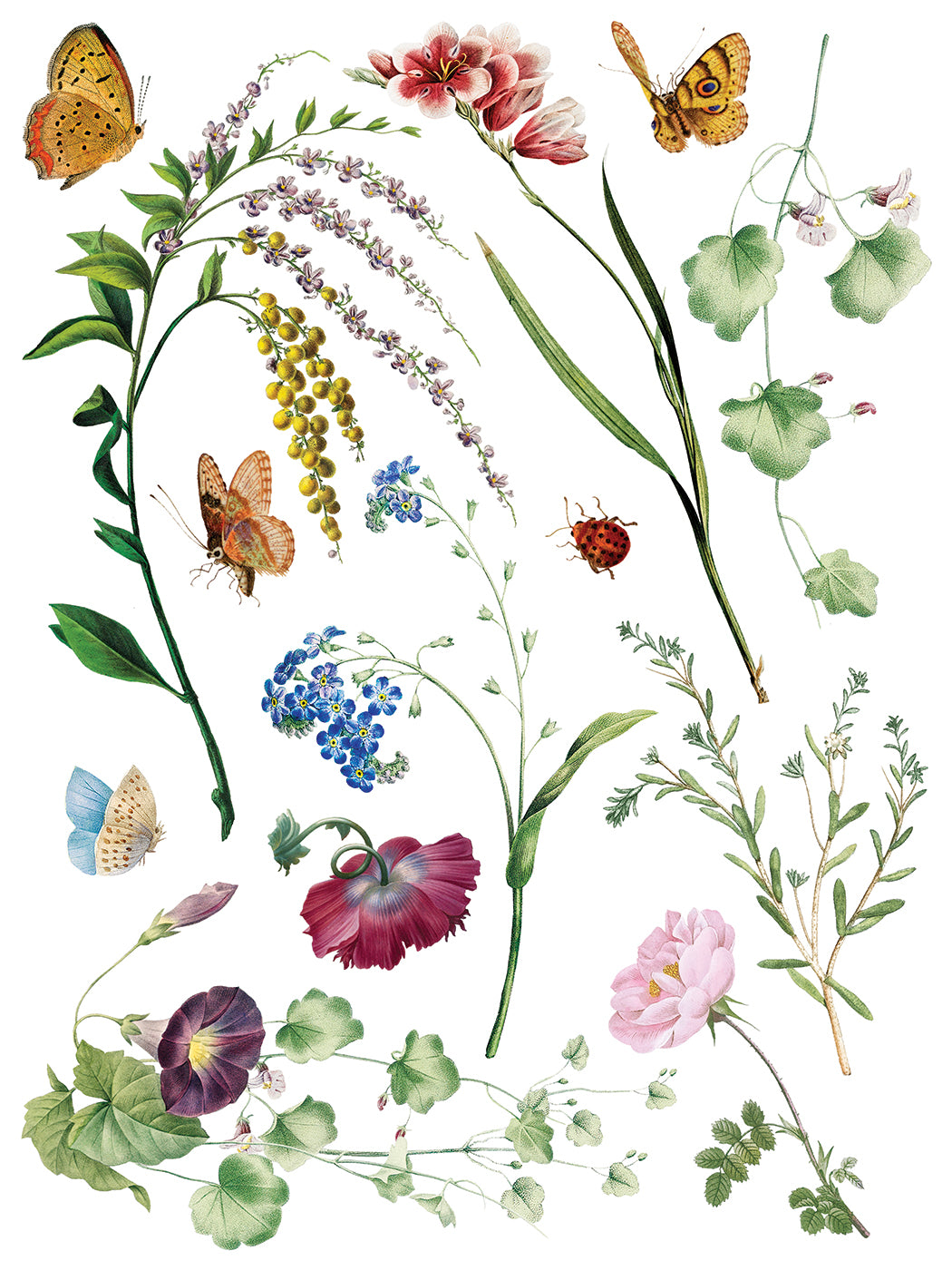 Marché des Fleurs IOD Transfer