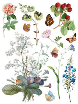 Marché des Fleurs IOD Transfer