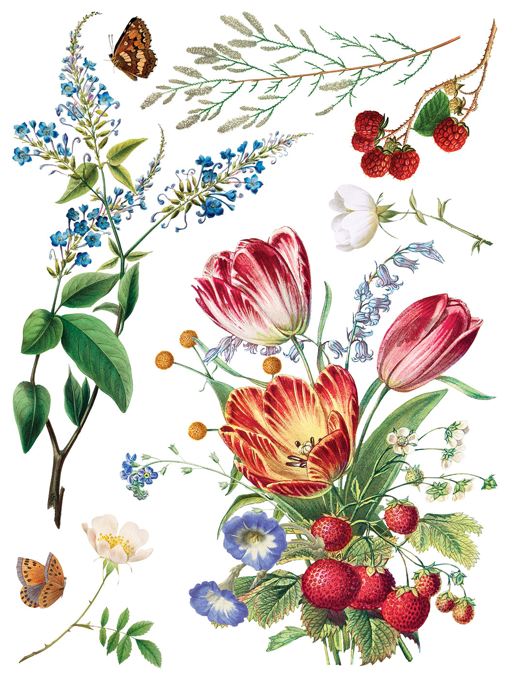 Marché des Fleurs IOD Transfer