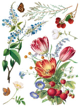 Marché des Fleurs IOD Transfer