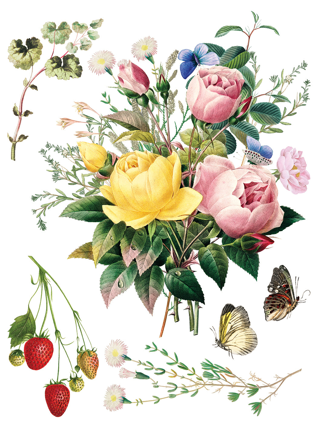 Marché des Fleurs IOD Transfer