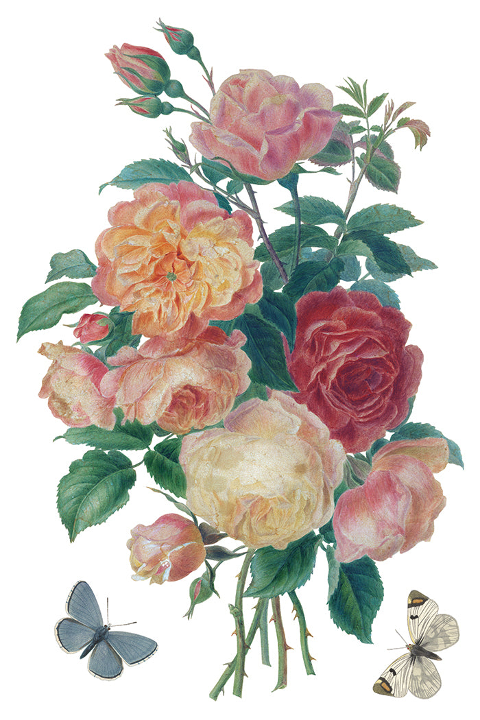 Saint Ouen IOD Decor Transfer