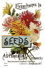 Seed Catalogue IOD Transfer