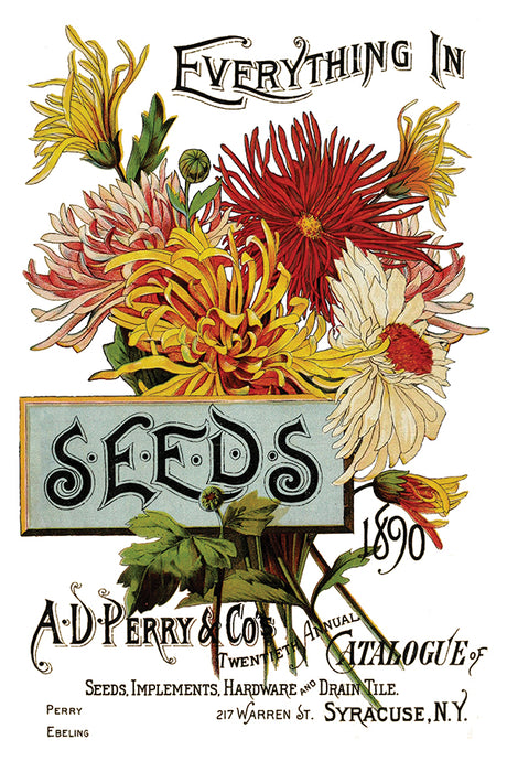 Seed Catalogue IOD Transfer