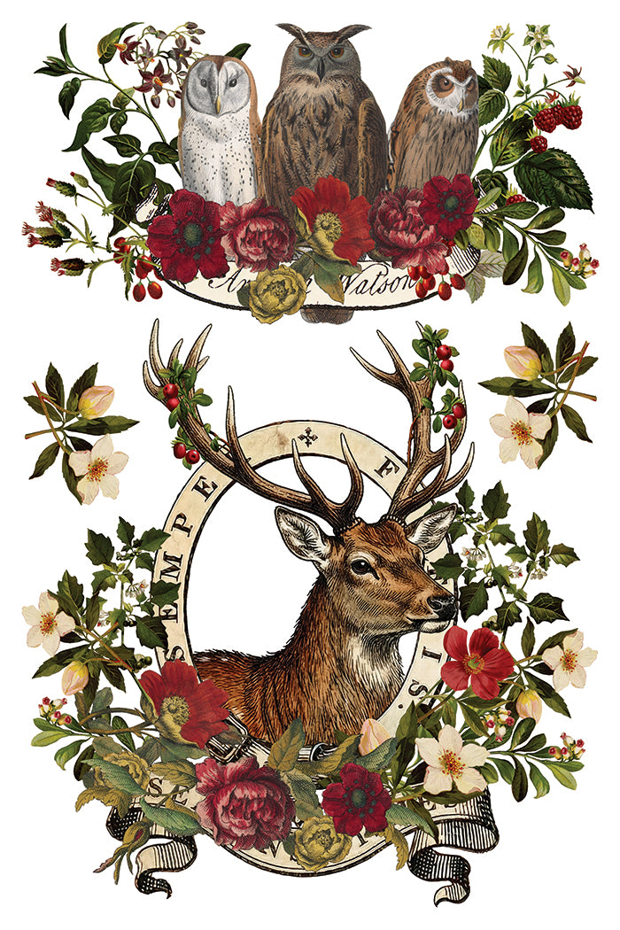 Stag Tavern IOD Transfer
