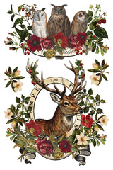 Stag Tavern IOD Transfer