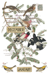 Winter's Calling IOD Transfer