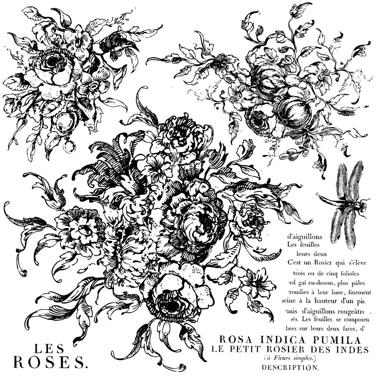 Rose Toile IOD Decor Stamp