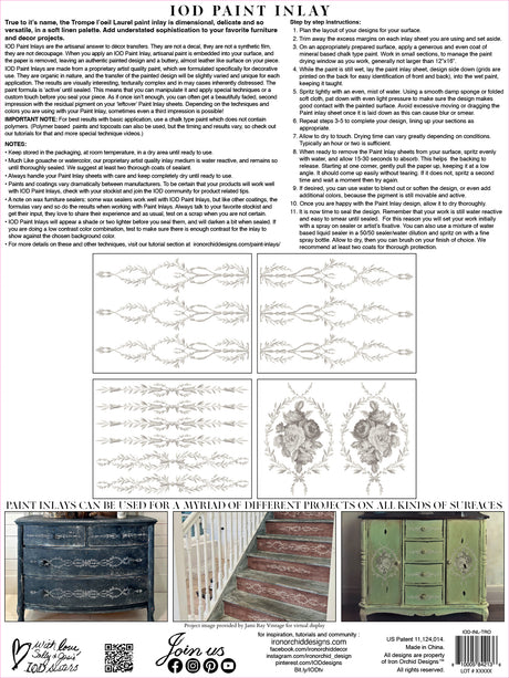 Trompe L'oeil Laurel IOD Paint Inlay