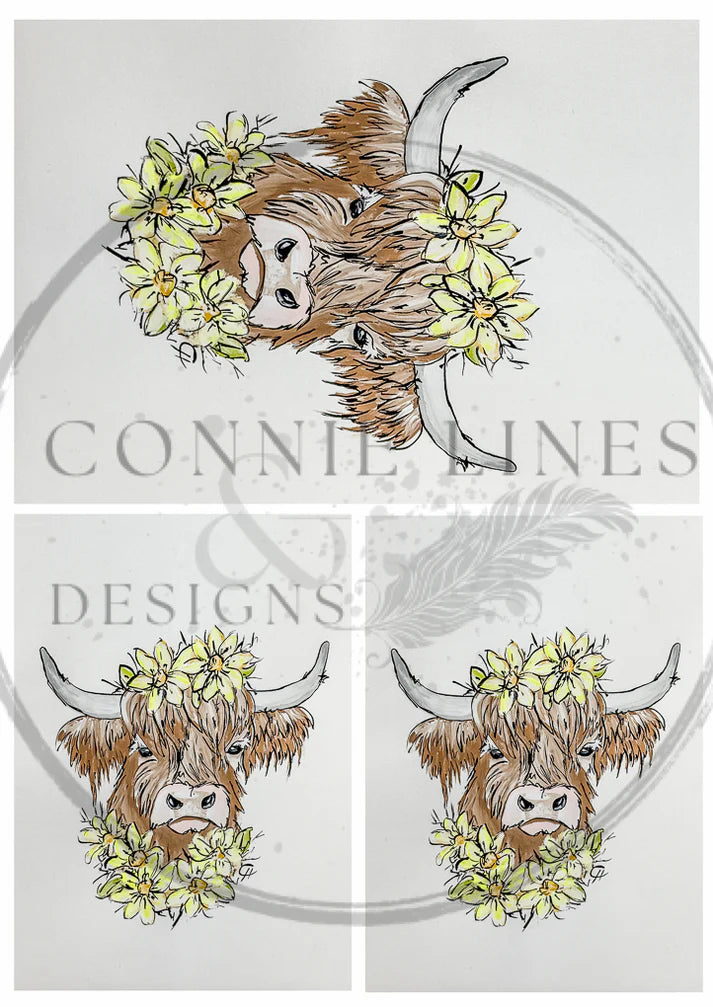 Multiple Highland Cow Franny - Decoupage Rice Paper