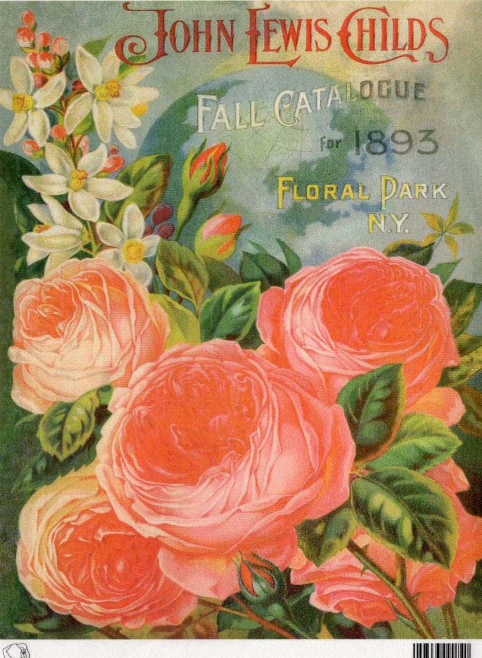 Calambour John Lewis Childs 1893 Fall Catalog A4 Rice Paper