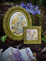 Flora Graca IOD Decor Transfer